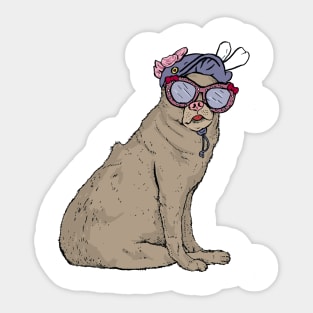 A dog with glasses Sticker